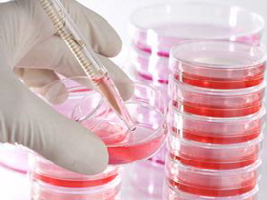 stem-cell_1